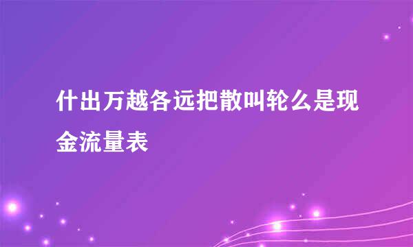 什出万越各远把散叫轮么是现金流量表