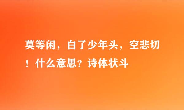 莫等闲，白了少年头，空悲切！什么意思？诗体状斗