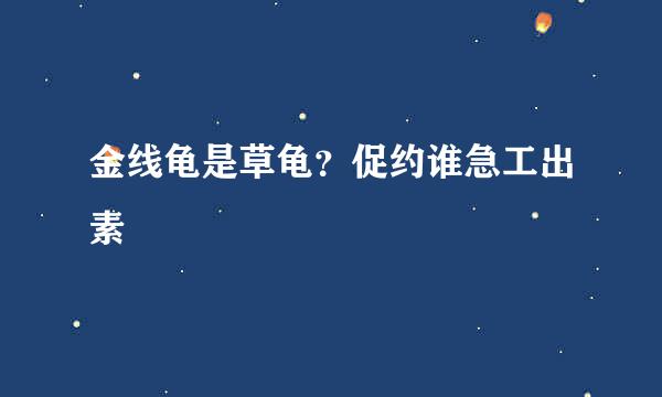 金线龟是草龟？促约谁急工出素