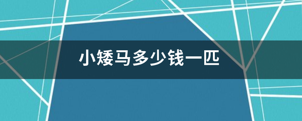 小矮马多少钱一匹