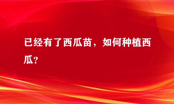 已经有了西瓜苗，如何种植西瓜？