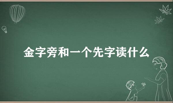 金字旁和一个先字读什么