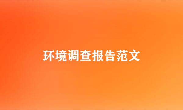 环境调查报告范文