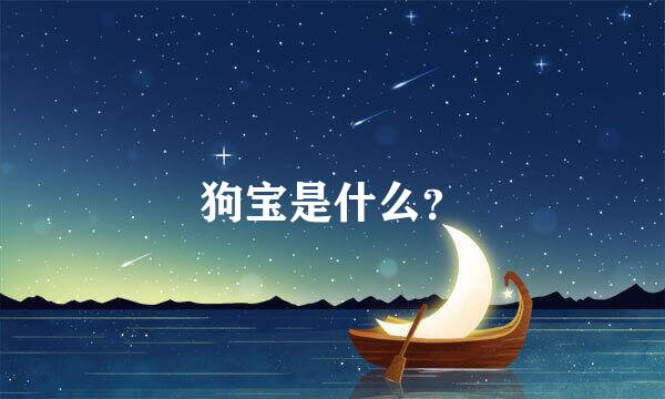 狗宝是什么？