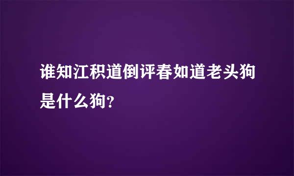 谁知江积道倒评春如道老头狗是什么狗？