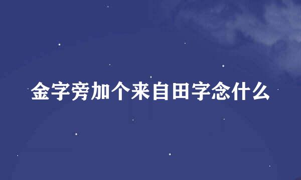 金字旁加个来自田字念什么