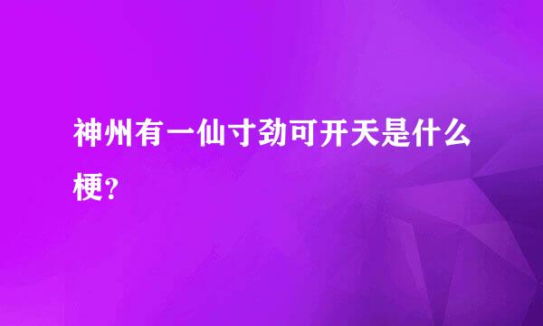 神州有一仙寸劲可开天是什么梗？