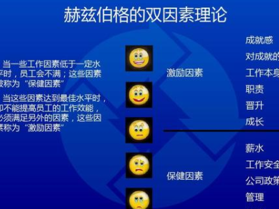 什么是双五依点因素激励理论？