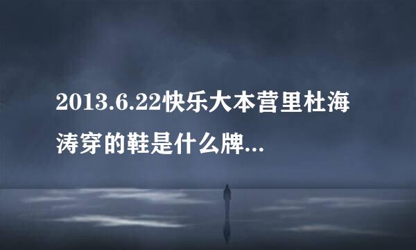 2013.6.22快乐大本营里杜海涛穿的鞋是什么牌子的，货号多少。