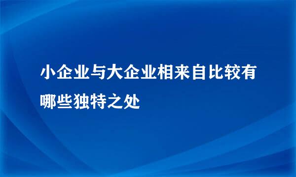 小企业与大企业相来自比较有哪些独特之处