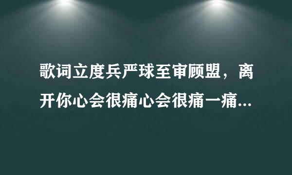 歌词立度兵严球至审顾盟，离开你心会很痛心会很痛一痛再痛是什么歌