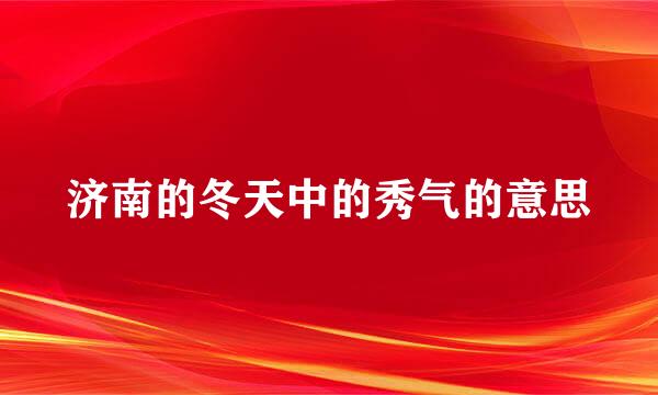 济南的冬天中的秀气的意思