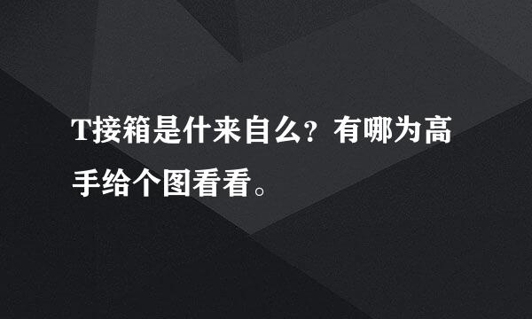 T接箱是什来自么？有哪为高手给个图看看。