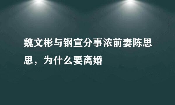 魏文彬与钢宣分事浓前妻陈思思，为什么要离婚