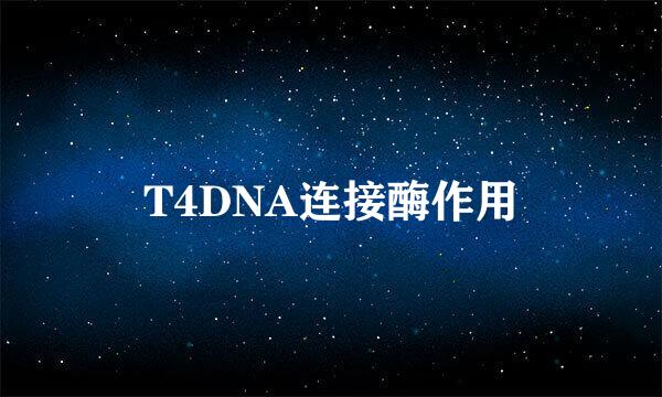 T4DNA连接酶作用