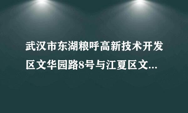 武汉市东湖粮呼高新技术开发区文华园路8号与江夏区文化路9号相距多少公里?