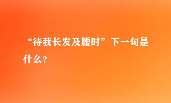 “待我长发及腰时”下一句是什么？