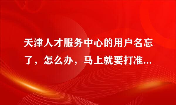天津人才服务中心的用户名忘了，怎么办，马上就要打准考证了，急，在