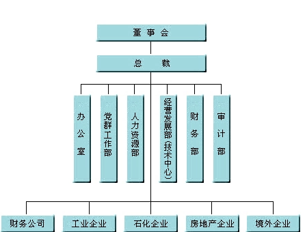 一般集团公司组织架构是什么？