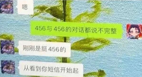 456是什么意思？