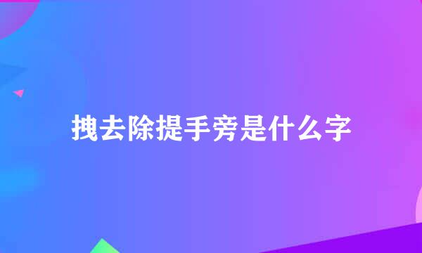 拽去除提手旁是什么字