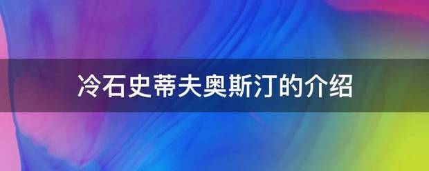 冷石史蒂夫奥斯汀的介绍