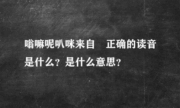 嗡嘛呢叭咪来自吽正确的读音是什么？是什么意思？