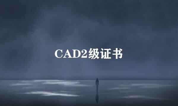 CAD2级证书