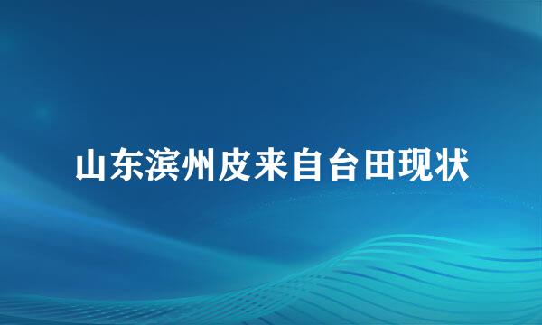 山东滨州皮来自台田现状