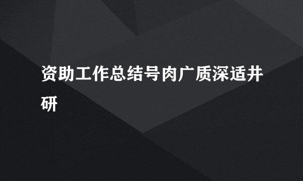 资助工作总结号肉广质深适井研