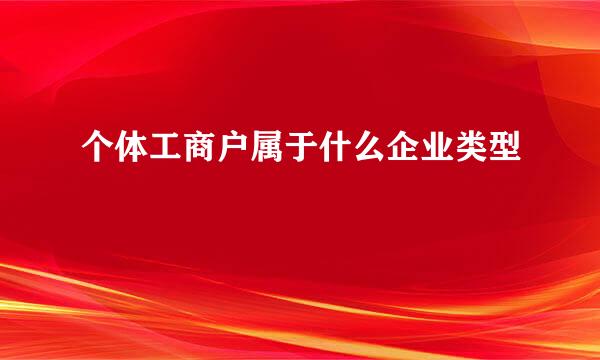 个体工商户属于什么企业类型