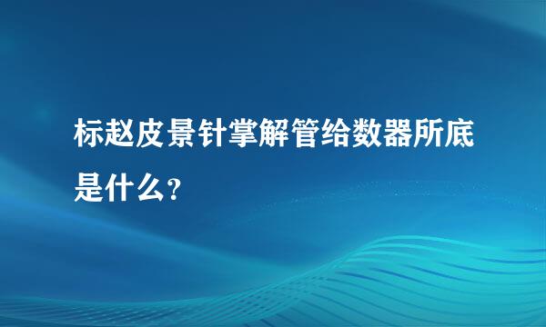 标赵皮景针掌解管给数器所底是什么？