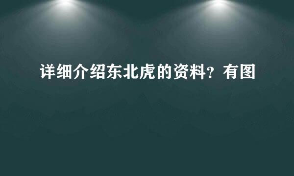 详细介绍东北虎的资料？有图