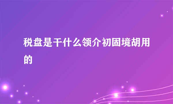 税盘是干什么领介初固境胡用的