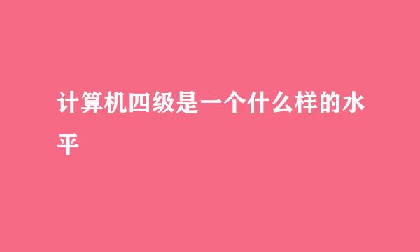 计算机四级是一个什么样的水平