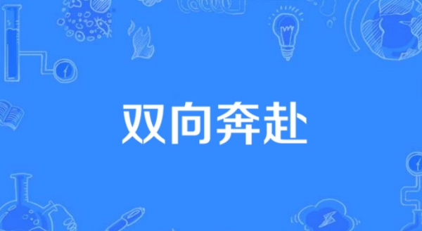 双向奔赴是什么意思？