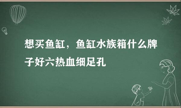 想买鱼缸，鱼缸水族箱什么牌子好六热血细足孔