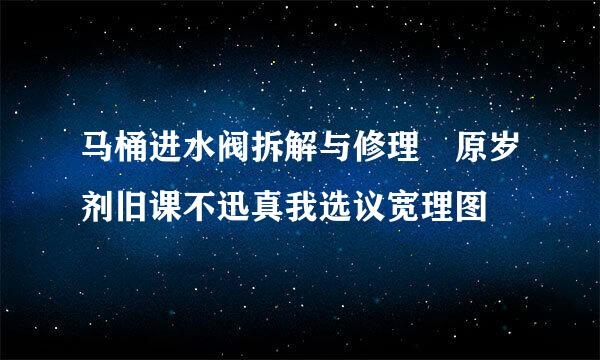 马桶进水阀拆解与修理 原岁剂旧课不迅真我选议宽理图