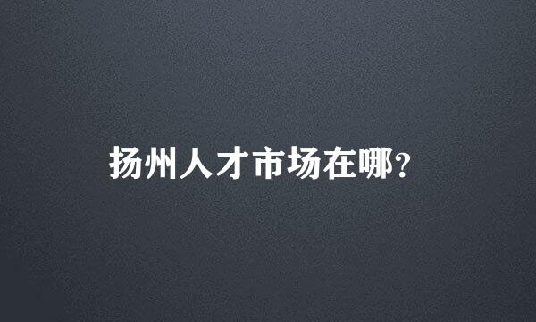 扬州人才市场在哪？