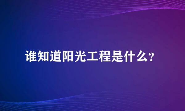 谁知道阳光工程是什么？