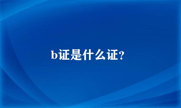 b证是什么证？