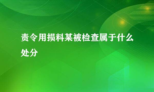 责令用损料某被检查属于什么处分