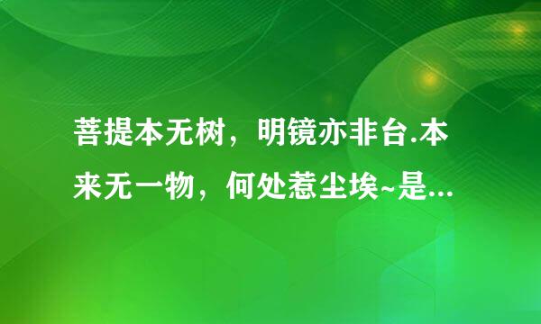 菩提本无树，明镜亦非台.本来无一物，何处惹尘埃~是什么意思