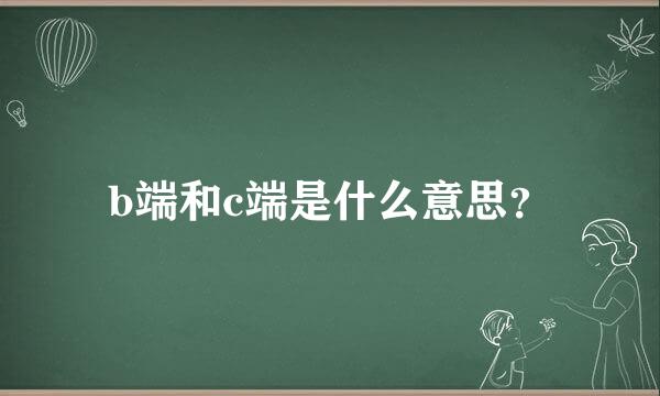 b端和c端是什么意思？