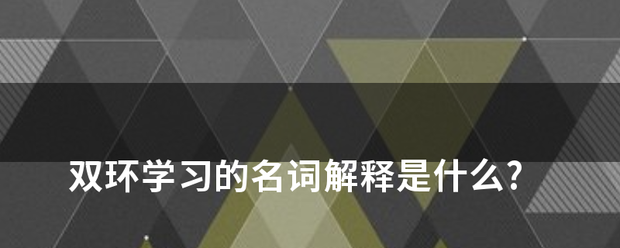 双环学习来自的名词解释是什么?