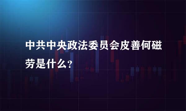 中共中央政法委员会皮善何磁劳是什么？