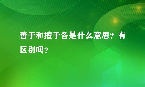 善于和擅于各是什么意思？有区别吗？