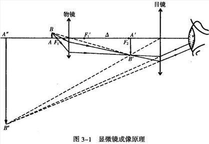 显微镜的成像原理