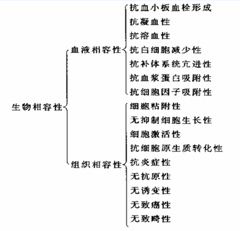 什么是“生物相容性”