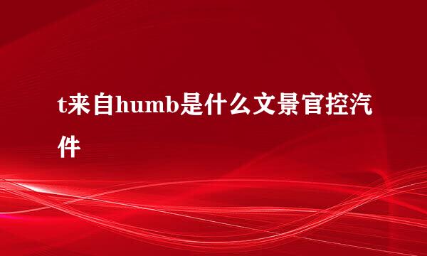 t来自humb是什么文景官控汽件